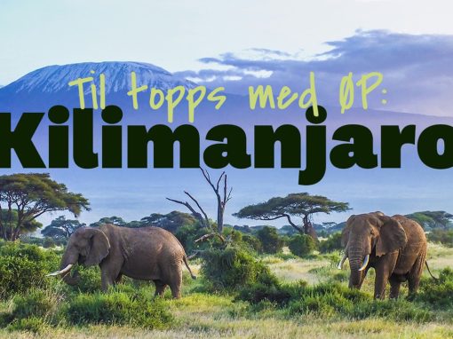 Til topps med ØP: Kilimanjaro